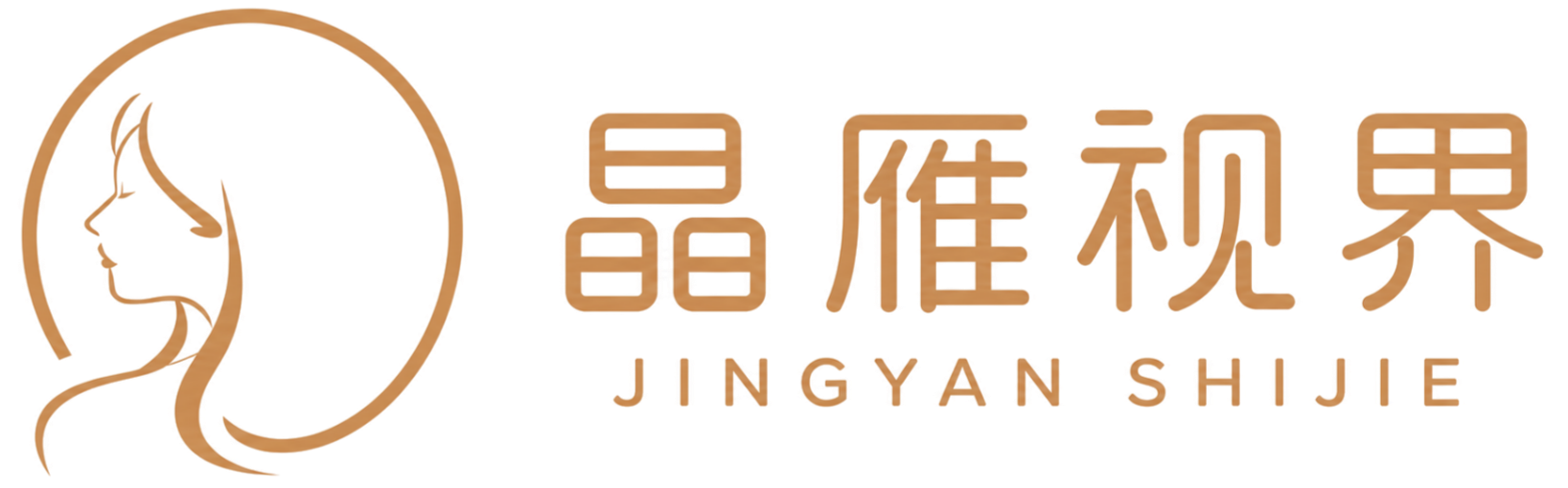 晶雁视界